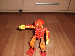 rijen-2011-038.jpg