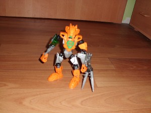 rijen-2011-039.jpg
