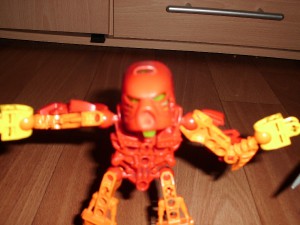 rijen-2011-043.jpg