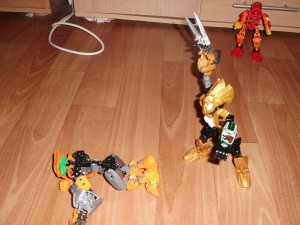 rijen-2011-050.jpg
