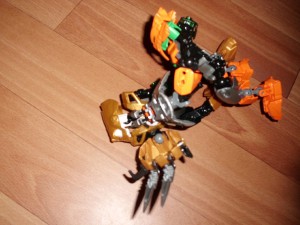 rijen-2011-057.jpg