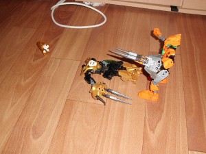 rijen-2011-058.jpg